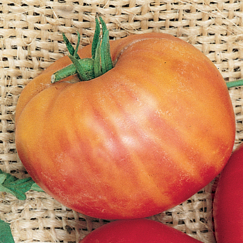 Indeterminate: Horticultural Products & Services