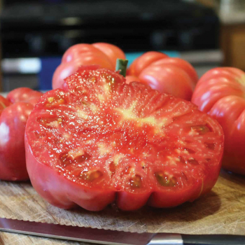 Pink Delicious Hybrid Tomato