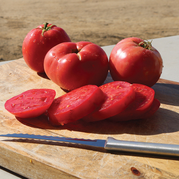 Indeterminate: Horticultural Products & Services