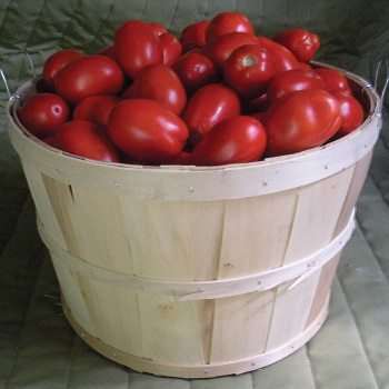 Tomato, Plum Regal Hybrid