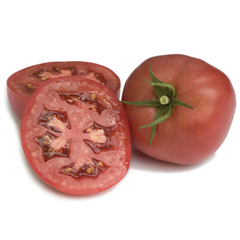 Purple Boy Hybrid Tomato
