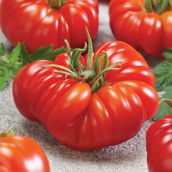 Indeterminate: Horticultural Products & Services