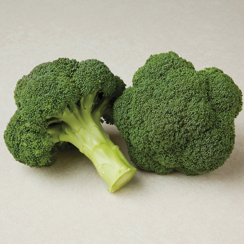 Durapak 16 Hybrid Broccoli
