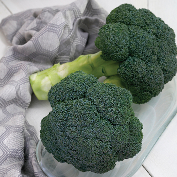 Godzilla Hybrid Broccoli