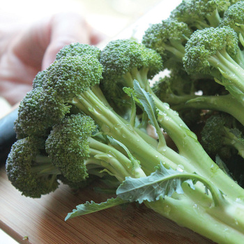 Broccoli, Skytree Hybrid