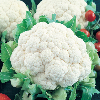 Snowball Self-Blanching Cauliflower