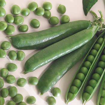 Pea, Sabre