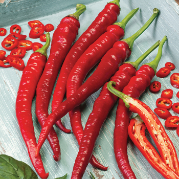 Pepper, Hot, Cayenne Long Red Thin