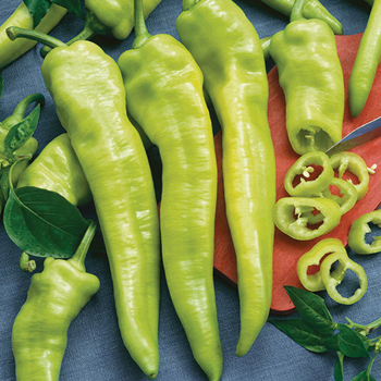 Pepper, Hot, Hungarian Yellow Wax