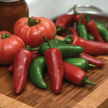 Pepper, Hot, Pot-A-Peno Hybrid