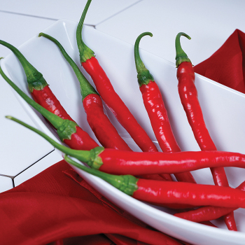 Hot: Horticultural Products & Services Hot: Horticultural Products & Services