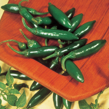 Pepper, Hot, Serrano Chili