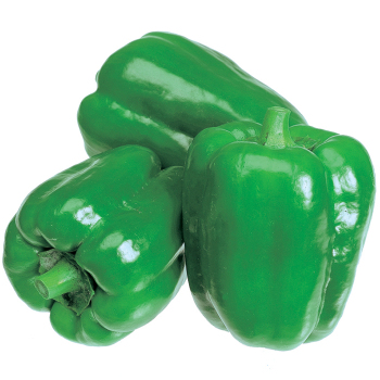 Pepper, Sweet, New Ace Hybrid