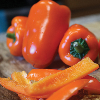 Orange Blaze Hybrid Pepper