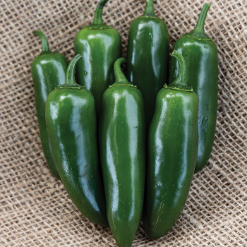 Pepper, Sweet, Nadapeno