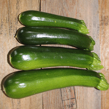 Squash, Summer, Black Beauty Zucchini 