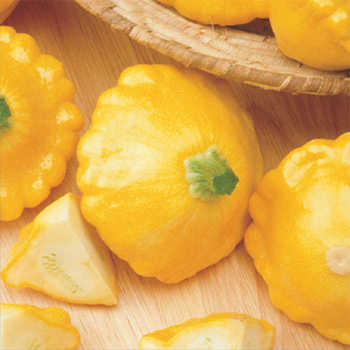 Sunny Delight Hybrid Squash