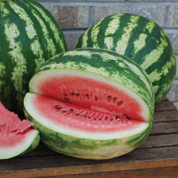 Watermelon, Crimson Sweet 