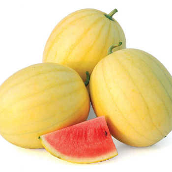 Faerie Hybrid Watermelon