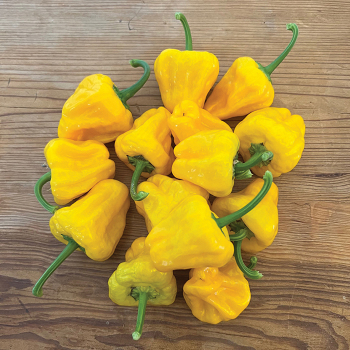 Hot: Horticultural Products & Services Hot: Horticultural Products & Services