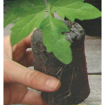 Jiffy-7&reg; Plant Starters, Super-Size