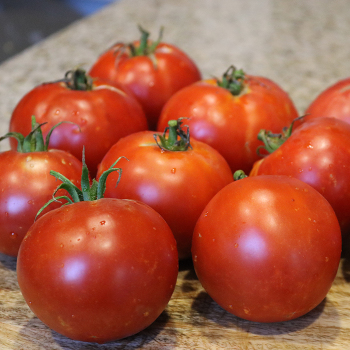 Tomato, Big Boy Hybrid 
