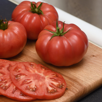 Tomato, WonderStar™ Pink Hybrid