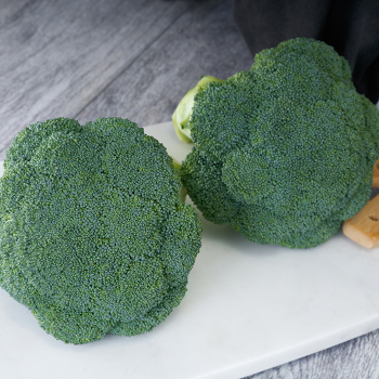 Broccoli, Appalachian Hybrid