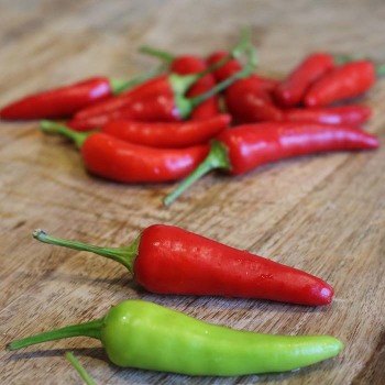 Pepper, Hot, Super Chili Hybrid