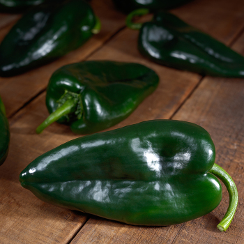 Pepper, Hot, Corsario Hybrid