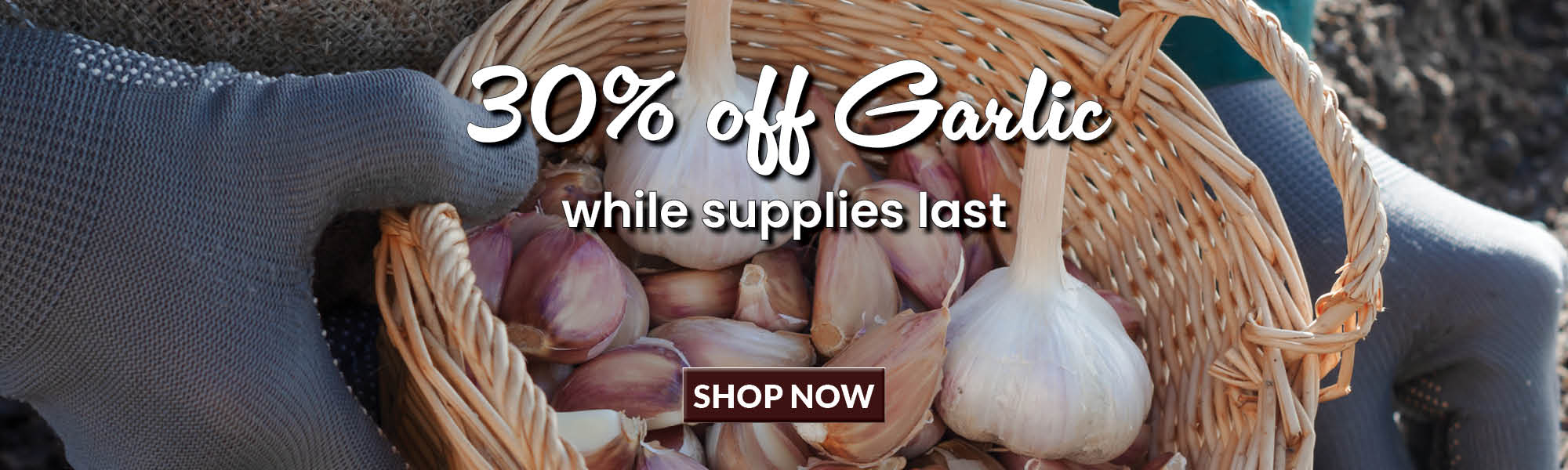 30% Off Garlic