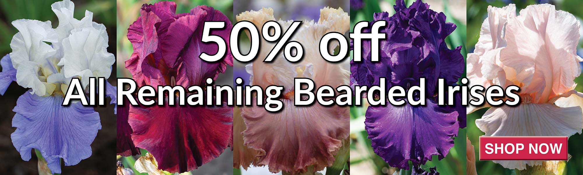 Fall Sale