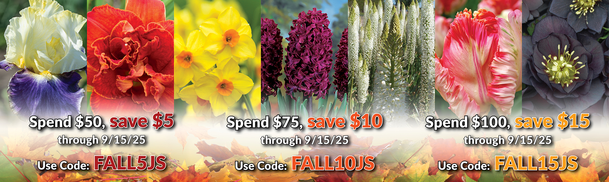 Fall Sale