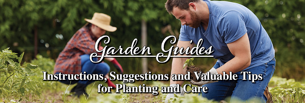 Garden Guides