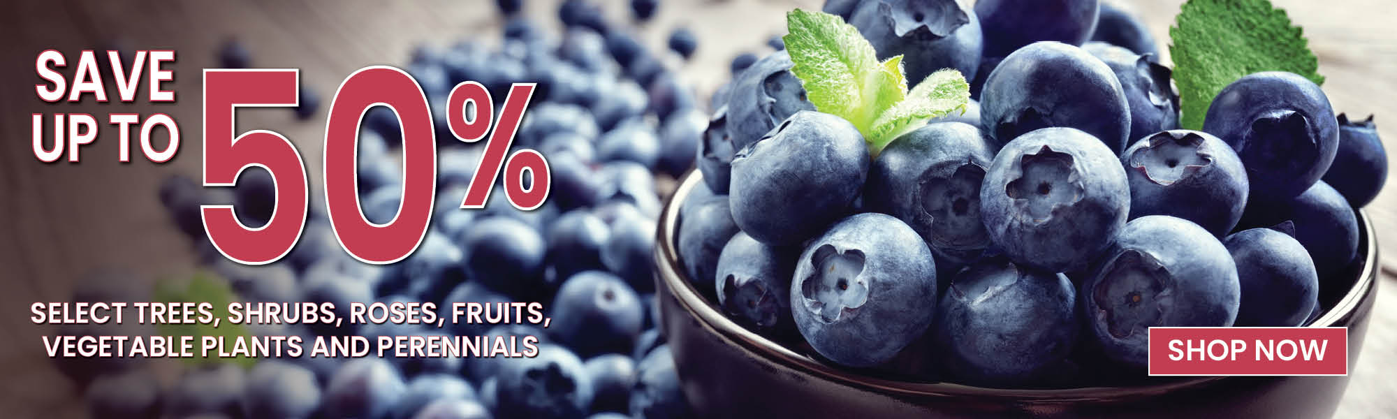 Save Up To 50% on Select Plants