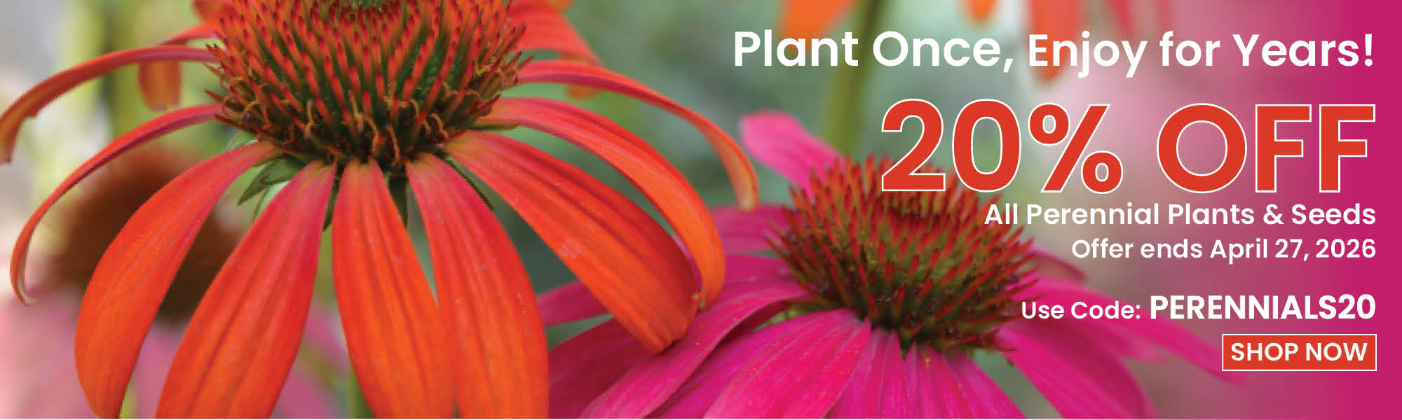 20% Off Perennials