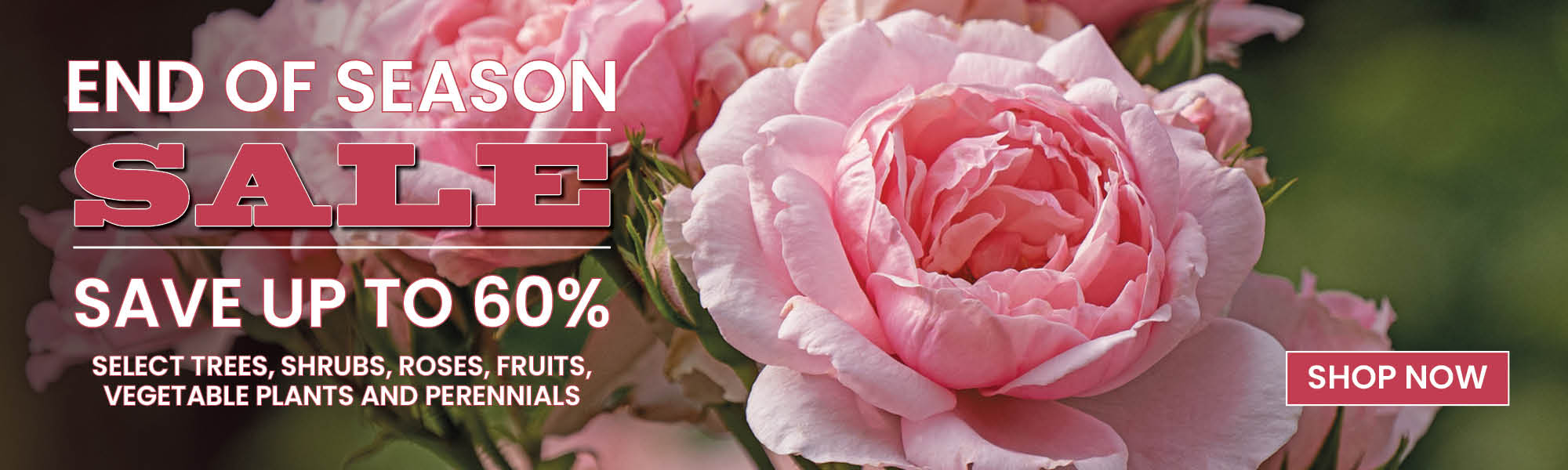 End of Season Sale Save Up To 60% on Select Plants