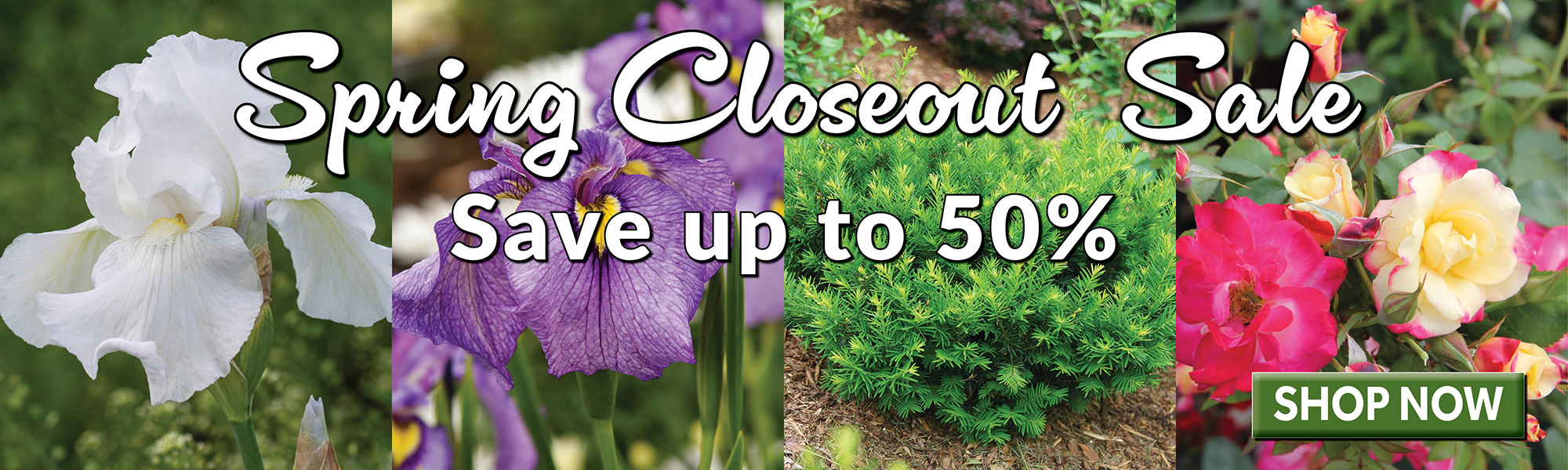 Spring Closeout Sale