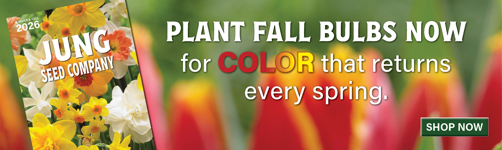 Plant Fall Bulbs Now