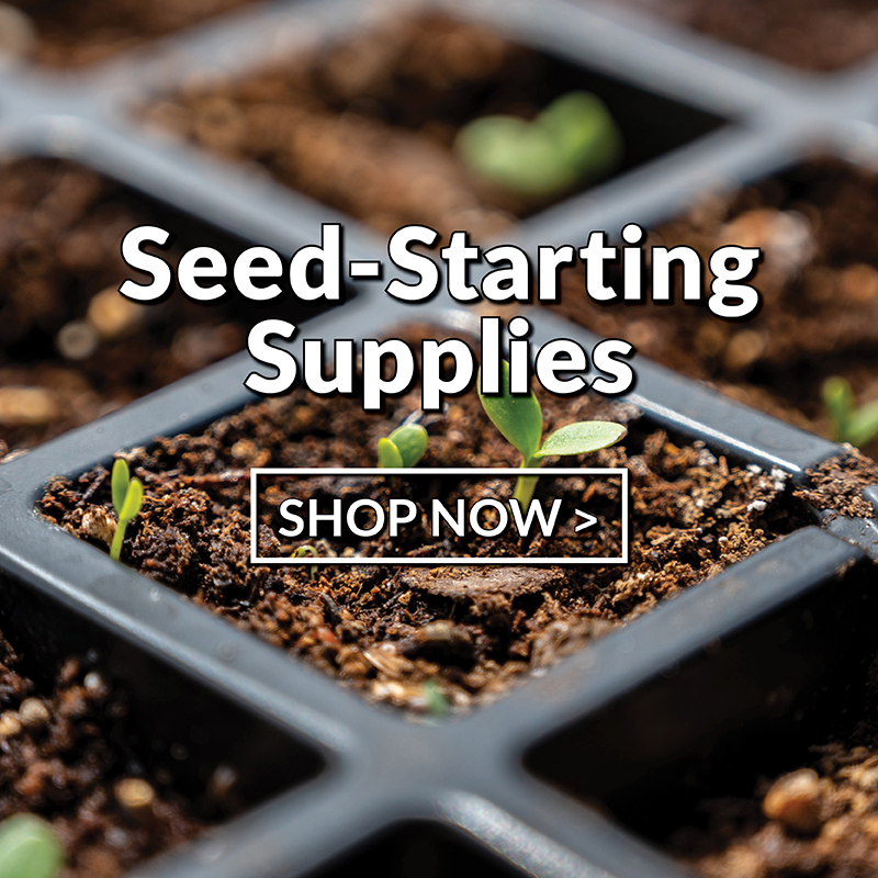 Vegetable Seed, Flower Seed, and Garden Supplies Jung Seed