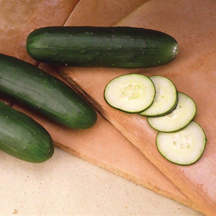 Slice More Hybrid Slicing Cucumber