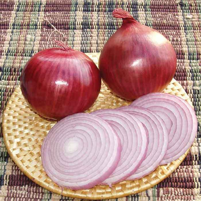 Redwing Hybrid Onion