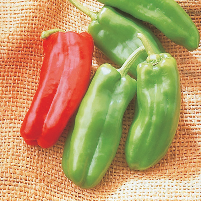 Red Marconi Pepper Seeds 75 Imported Italian '21 Seeds    $1.69 Max Shipping