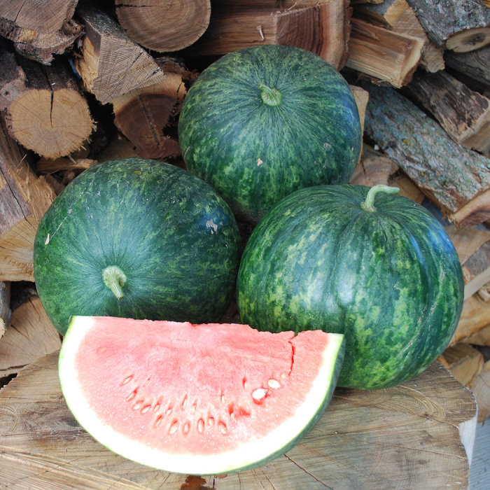 Wilson Sweet Watermelon
