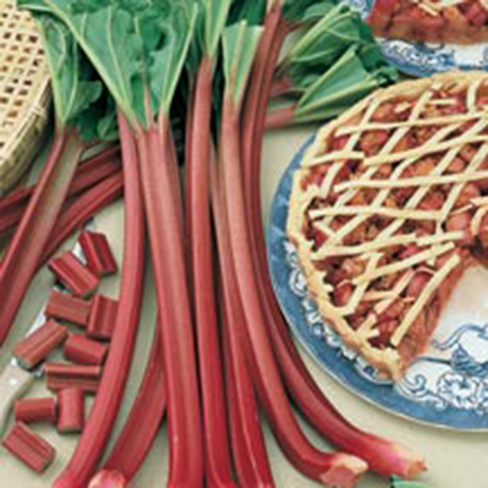 Canada Red And Crimson Red Rhubarb Offer