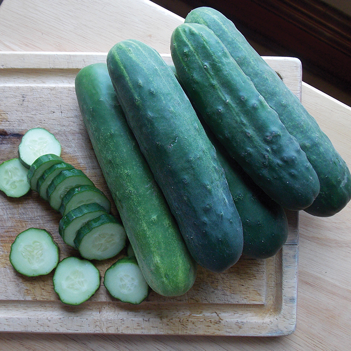 Organic Straight Eight Cucumber