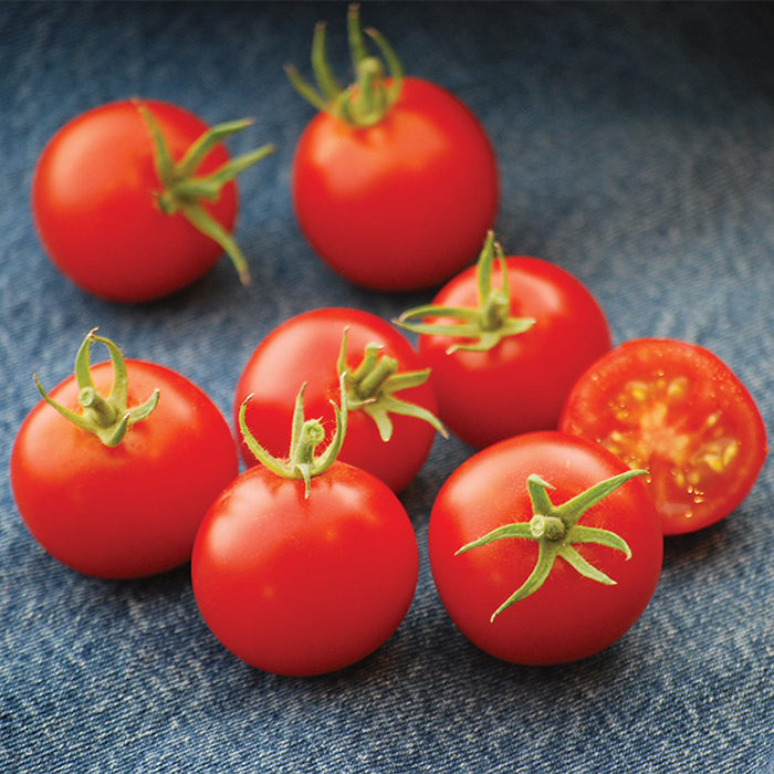 Certified Organic Heirloom Seeds World's Earliest Tomato Tomato 42 Days   10
