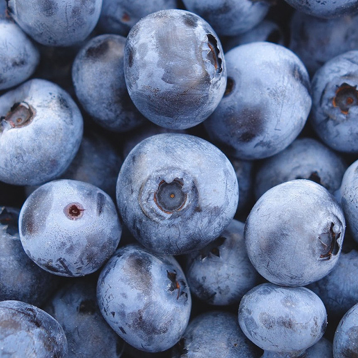 Northern Blueberry Offer #1