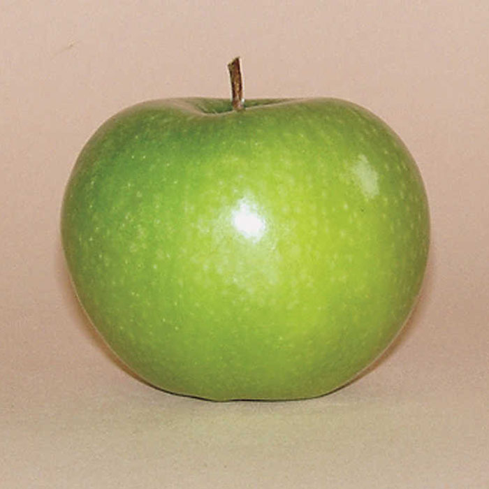 Northwestern Greening Standard Apple