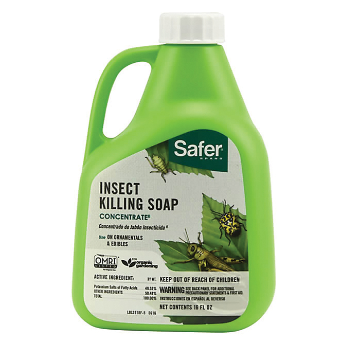 Safer® Insect Killing Soap